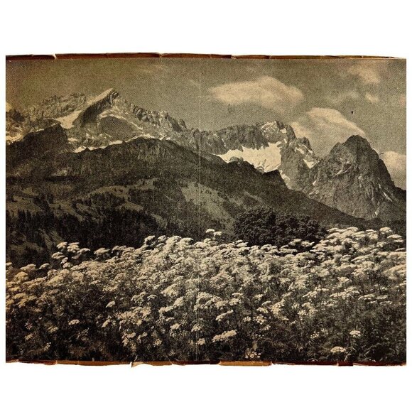 Pictures Of Bavaria 1914 Military WW1 Photograph Booklet For US Troops RARE HBS - Picture 7 of 9